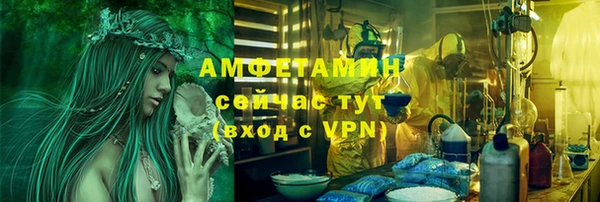 спайс Вяземский